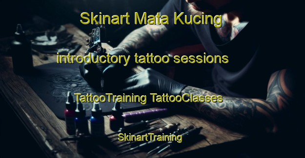 Skinart Mata Kucing introductory tattoo sessions | #TattooTraining #TattooClasses #SkinartTraining-Malaysia