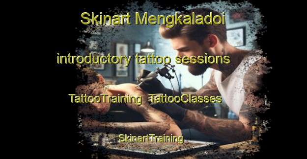 Skinart Mengkaladoi introductory tattoo sessions | TattooTraining | TattooClasses | SkinartTraining-Malaysia