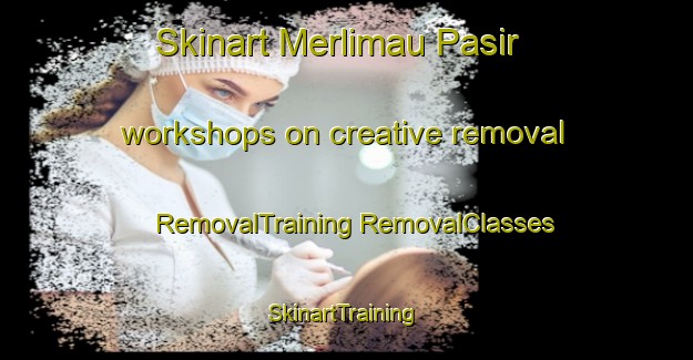 Skinart Merlimau Pasir workshops on creative removal | #RemovalTraining #RemovalClasses #SkinartTraining-Malaysia