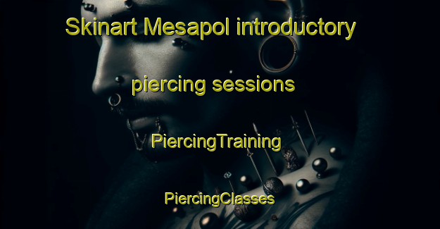 Skinart Mesapol introductory piercing sessions | #PiercingTraining #PiercingClasses #SkinartTraining-Malaysia