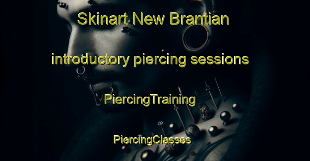 Skinart New Brantian introductory piercing sessions | PiercingTraining | PiercingClasses | SkinartTraining-Malaysia