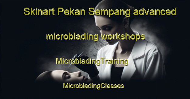 Skinart Pekan Sempang advanced microblading workshops | MicrobladingTraining | MicrobladingClasses | SkinartTraining-Malaysia