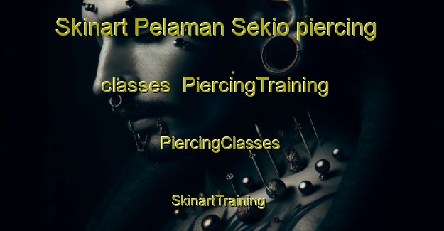 Skinart Pelaman Sekio piercing classes | #PiercingTraining #PiercingClasses #SkinartTraining-Malaysia