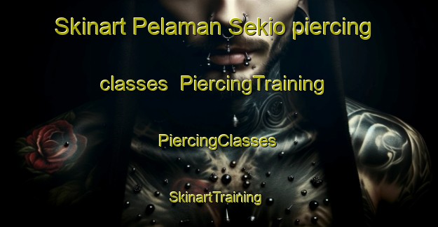 Skinart Pelaman Sekio piercing classes | #PiercingTraining #PiercingClasses #SkinartTraining-Malaysia