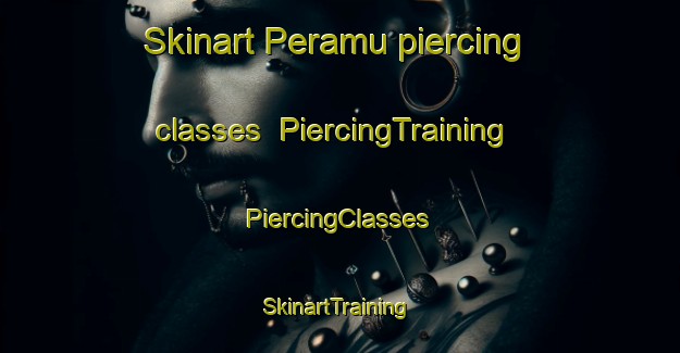 Skinart Peramu piercing classes | #PiercingTraining #PiercingClasses #SkinartTraining-Malaysia