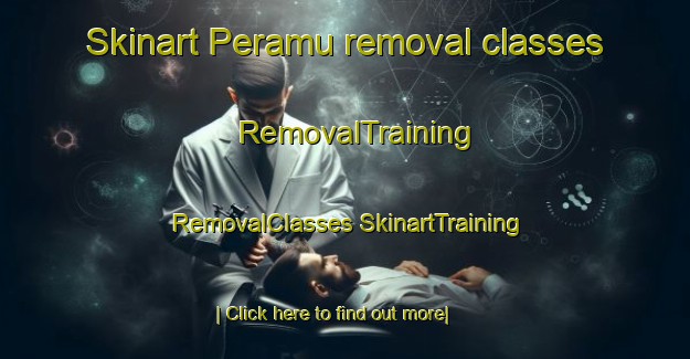 Skinart Peramu removal classes | #RemovalTraining #RemovalClasses #SkinartTraining-Malaysia