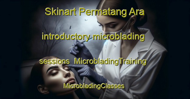 Skinart Permatang Ara introductory microblading sessions | MicrobladingTraining | MicrobladingClasses | SkinartTraining-Malaysia