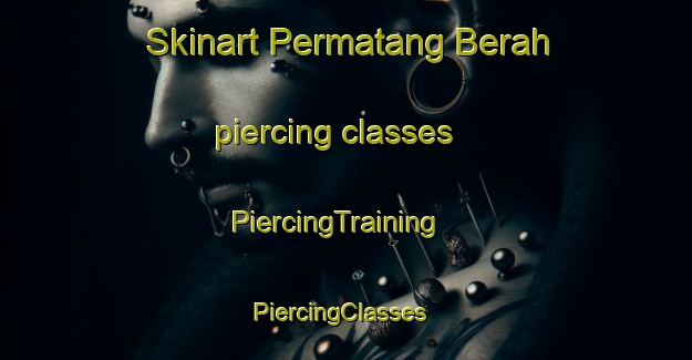 Skinart Permatang Berah piercing classes | PiercingTraining | PiercingClasses | SkinartTraining-Malaysia