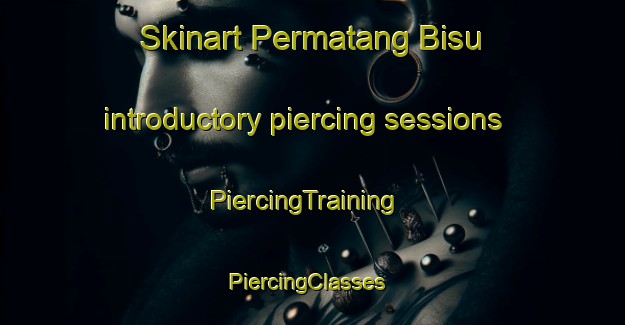 Skinart Permatang Bisu introductory piercing sessions | PiercingTraining | PiercingClasses | SkinartTraining-Malaysia