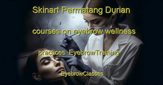 Skinart Permatang Durian courses on eyebrow wellness practices | EyebrowTraining | EyebrowClasses | SkinartTraining-Malaysia