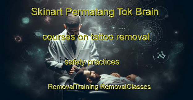 Skinart Permatang Tok Brain courses on tattoo removal safety practices | #RemovalTraining #RemovalClasses #SkinartTraining-Malaysia