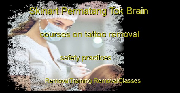 Skinart Permatang Tok Brain courses on tattoo removal safety practices | #RemovalTraining #RemovalClasses #SkinartTraining-Malaysia