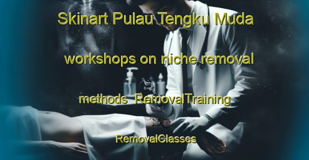 Skinart Pulau Tengku Muda workshops on niche removal methods | RemovalTraining | RemovalClasses | SkinartTraining-Malaysia