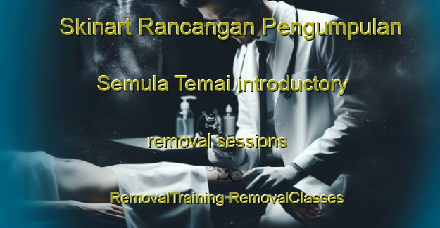 Skinart Rancangan Pengumpulan Semula Temai introductory removal sessions | #RemovalTraining #RemovalClasses #SkinartTraining-Malaysia