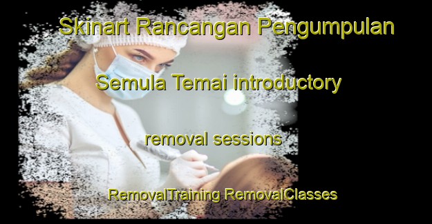 Skinart Rancangan Pengumpulan Semula Temai introductory removal sessions | #RemovalTraining #RemovalClasses #SkinartTraining-Malaysia