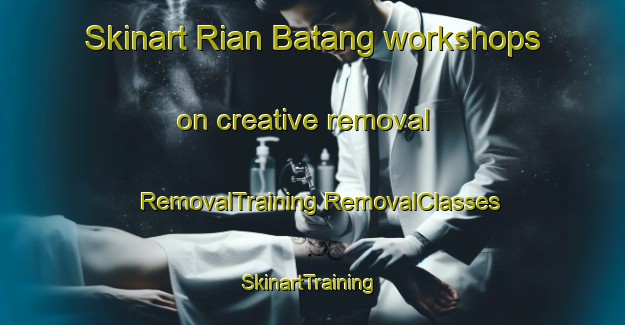 Skinart Rian Batang workshops on creative removal | #RemovalTraining #RemovalClasses #SkinartTraining-Malaysia