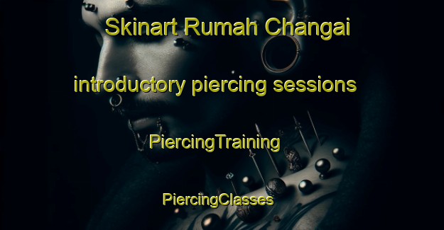 Skinart Rumah Changai introductory piercing sessions | PiercingTraining | PiercingClasses | SkinartTraining-Malaysia