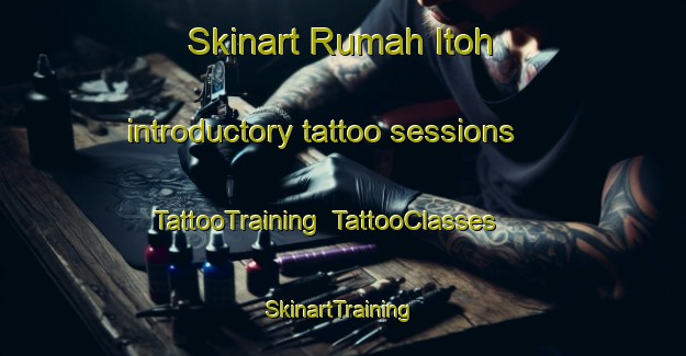 Skinart Rumah Itoh introductory tattoo sessions | TattooTraining | TattooClasses | SkinartTraining-Malaysia