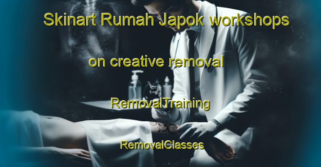 Skinart Rumah Japok workshops on creative removal | RemovalTraining | RemovalClasses | SkinartTraining-Malaysia