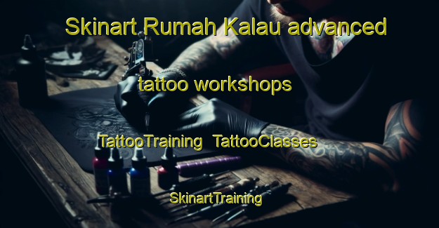 Skinart Rumah Kalau advanced tattoo workshops | TattooTraining | TattooClasses | SkinartTraining-Malaysia
