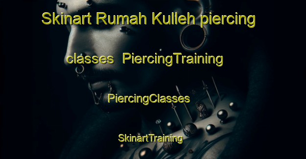 Skinart Rumah Kulleh piercing classes | PiercingTraining | PiercingClasses | SkinartTraining-Malaysia