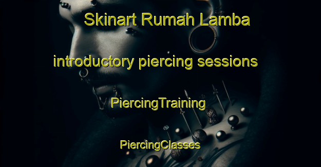 Skinart Rumah Lamba introductory piercing sessions | #PiercingTraining #PiercingClasses #SkinartTraining-Malaysia