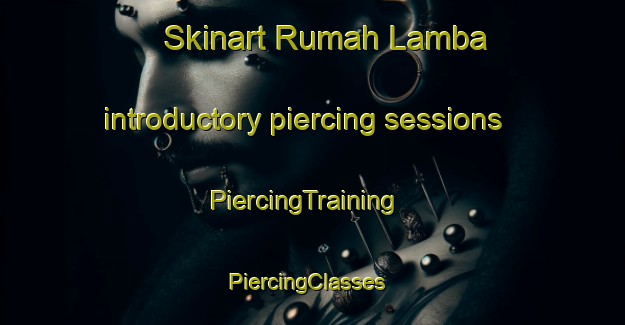 Skinart Rumah Lamba introductory piercing sessions | PiercingTraining | PiercingClasses | SkinartTraining-Malaysia