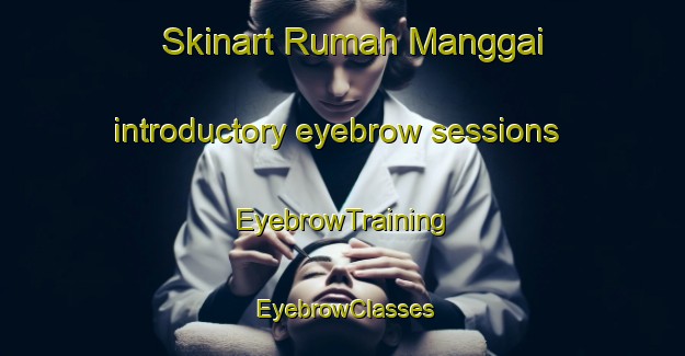 Skinart Rumah Manggai introductory eyebrow sessions | EyebrowTraining | EyebrowClasses | SkinartTraining-Malaysia