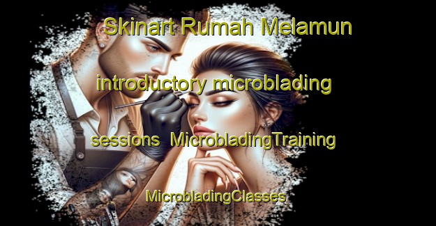 Skinart Rumah Melamun introductory microblading sessions | MicrobladingTraining | MicrobladingClasses | SkinartTraining-Malaysia