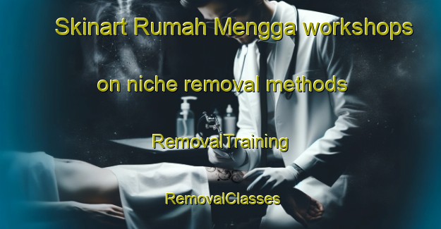 Skinart Rumah Mengga workshops on niche removal methods | RemovalTraining | RemovalClasses | SkinartTraining-Malaysia