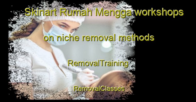 Skinart Rumah Mengga workshops on niche removal methods | RemovalTraining | RemovalClasses | SkinartTraining-Malaysia