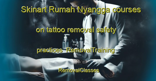 Skinart Rumah Nyangga courses on tattoo removal safety practices | RemovalTraining | RemovalClasses | SkinartTraining-Malaysia
