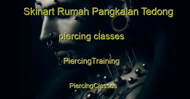 Skinart Rumah Pangkalan Tedong piercing classes | PiercingTraining | PiercingClasses | SkinartTraining-Malaysia