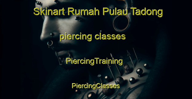 Skinart Rumah Pulau Tadong piercing classes | #PiercingTraining #PiercingClasses #SkinartTraining-Malaysia