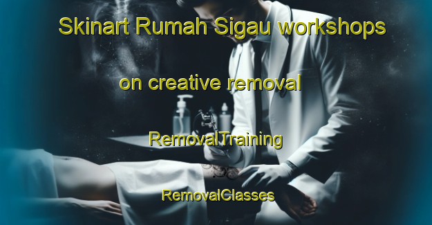 Skinart Rumah Sigau workshops on creative removal | RemovalTraining | RemovalClasses | SkinartTraining-Malaysia