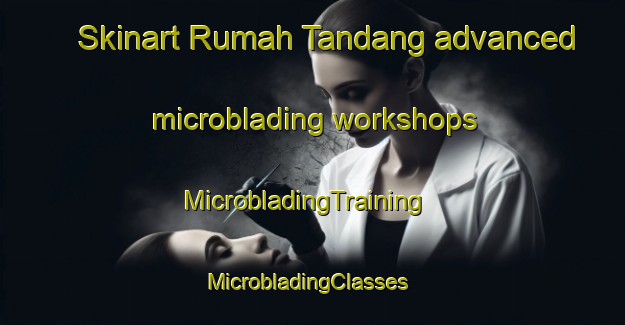 Skinart Rumah Tandang advanced microblading workshops | MicrobladingTraining | MicrobladingClasses | SkinartTraining-Malaysia