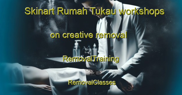 Skinart Rumah Tukau workshops on creative removal | RemovalTraining | RemovalClasses | SkinartTraining-Malaysia