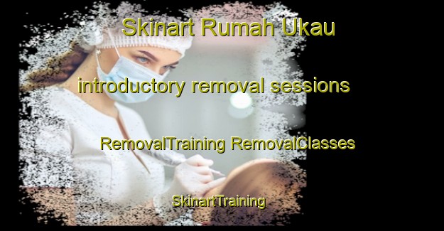 Skinart Rumah Ukau introductory removal sessions | #RemovalTraining #RemovalClasses #SkinartTraining-Malaysia