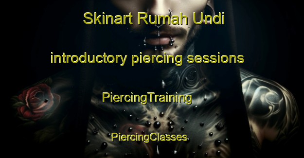 Skinart Rumah Undi introductory piercing sessions | PiercingTraining | PiercingClasses | SkinartTraining-Malaysia