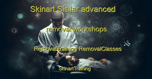 Skinart Sisilar advanced removal workshops | #RemovalTraining #RemovalClasses #SkinartTraining-Malaysia