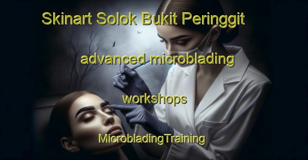 Skinart Solok Bukit Peringgit advanced microblading workshops | #MicrobladingTraining #MicrobladingClasses #SkinartTraining-Malaysia