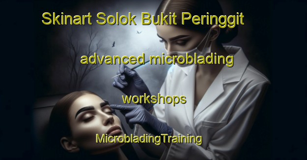 Skinart Solok Bukit Peringgit advanced microblading workshops | MicrobladingTraining | MicrobladingClasses | SkinartTraining-Malaysia