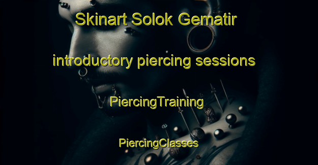 Skinart Solok Gematir introductory piercing sessions | #PiercingTraining #PiercingClasses #SkinartTraining-Malaysia