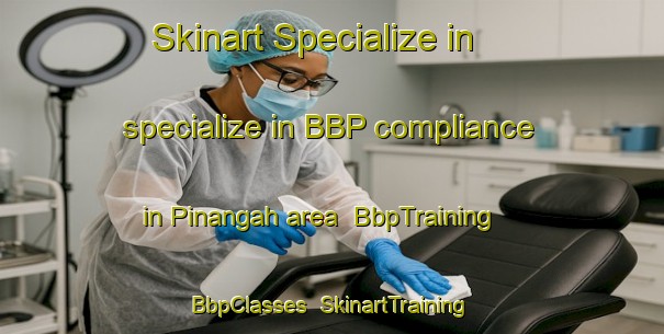 Skinart Specialize in specialize in BBP compliance in Pinangah area | BbpTraining | BbpClasses | SkinartTraining-Malaysia