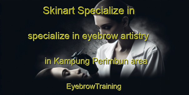 Skinart Specialize in specialize in eyebrow artistry in Kampung Perimbun area | EyebrowTraining | EyebrowClasses | SkinartTraining-Malaysia