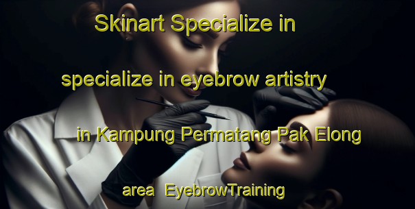 Skinart Specialize in specialize in eyebrow artistry in Kampung Permatang Pak Elong area | EyebrowTraining | EyebrowClasses | SkinartTraining-Malaysia