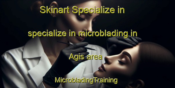 Skinart Specialize in specialize in microblading in Agis area | #MicrobladingTraining #MicrobladingClasses #SkinartTraining-Malaysia