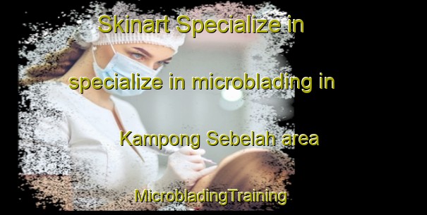 Skinart Specialize in specialize in microblading in Kampong Sebelah area | #MicrobladingTraining #MicrobladingClasses #SkinartTraining-Malaysia