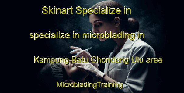 Skinart Specialize in specialize in microblading in Kampung Batu Chondong Ulu area | MicrobladingTraining | MicrobladingClasses | SkinartTraining-Malaysia