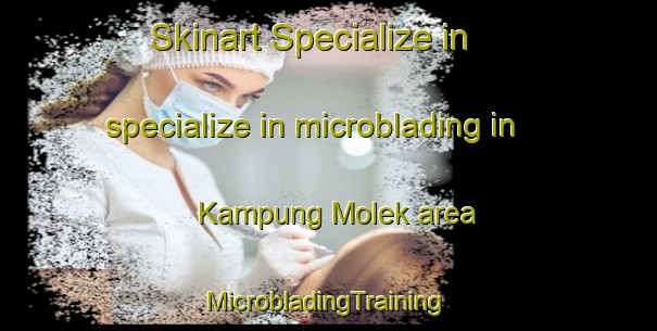 Skinart Specialize in specialize in microblading in Kampung Molek area | #MicrobladingTraining #MicrobladingClasses #SkinartTraining-Malaysia